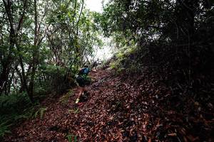 BIB: 
                            <button type="button" onclick="openModal(26201155)" class="btn btn-primary btn-sm float-right btn-popup" data-toggle="modal" data-target=".modal-high-quality">
                        <i class="fas fa-shopping-cart"></i> Add to Cart
                    </button>
                                            <button type="button" onclick="isThisMe(26201155, true)" class="btn btn-success btn-sm float-right btn-popup btn-isme hidden" data-toggle="tooltip" data-placement="bottom" title="นี่คือรูปของคุณใช่ไหม คลิกที่นี่เพื่อเอาเข้าอัลบั้ม">
                        <i class="fas fa-plus"></i> Add to album
                    </button>
                    <button type="button" onclick="isThisMe(26201155, false)" class="btn btn-warning btn-sm float-right btn-popup btn-isnotme hidden">
                        <i class="fas fa-ban"></i> Remove from album
                    </button>